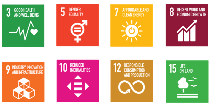SDG Goals at Premo